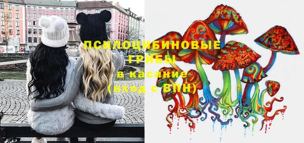бошки Надым