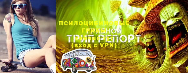 PSILOCYBIN Касимов