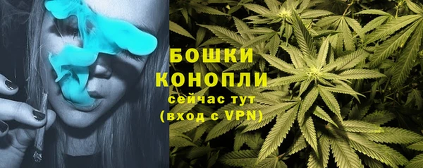 PSILOCYBIN Касимов
