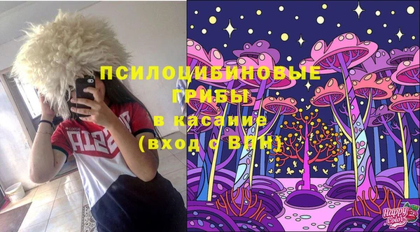 PSILOCYBIN Касимов