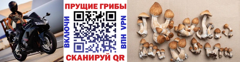 Купить  Белый  Галлюциногенные грибы мицелий 